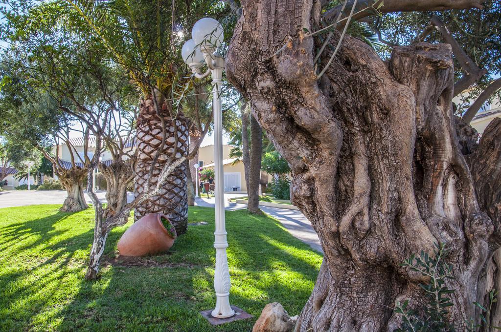 Marinda Garden Aparthotel Cala en Bosch Kültér fotó
